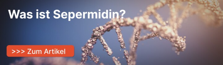 Artikelteaser: Was ist Spermidin?